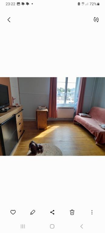 a bedroom with a dog laying on the floor at Les roses à la plage in Veules-les-Roses