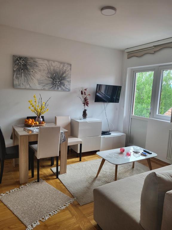 TV a/nebo společenská místnost v ubytování Apartman Stašenka