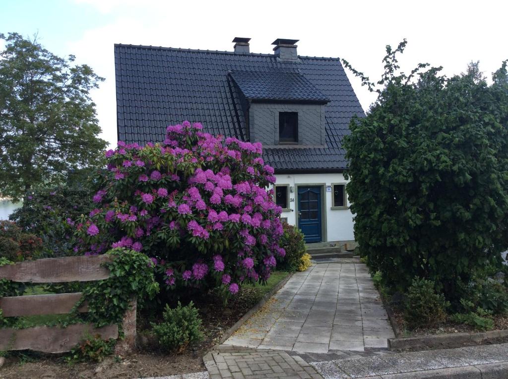 Zahrada ubytování Ferienhaus Dell