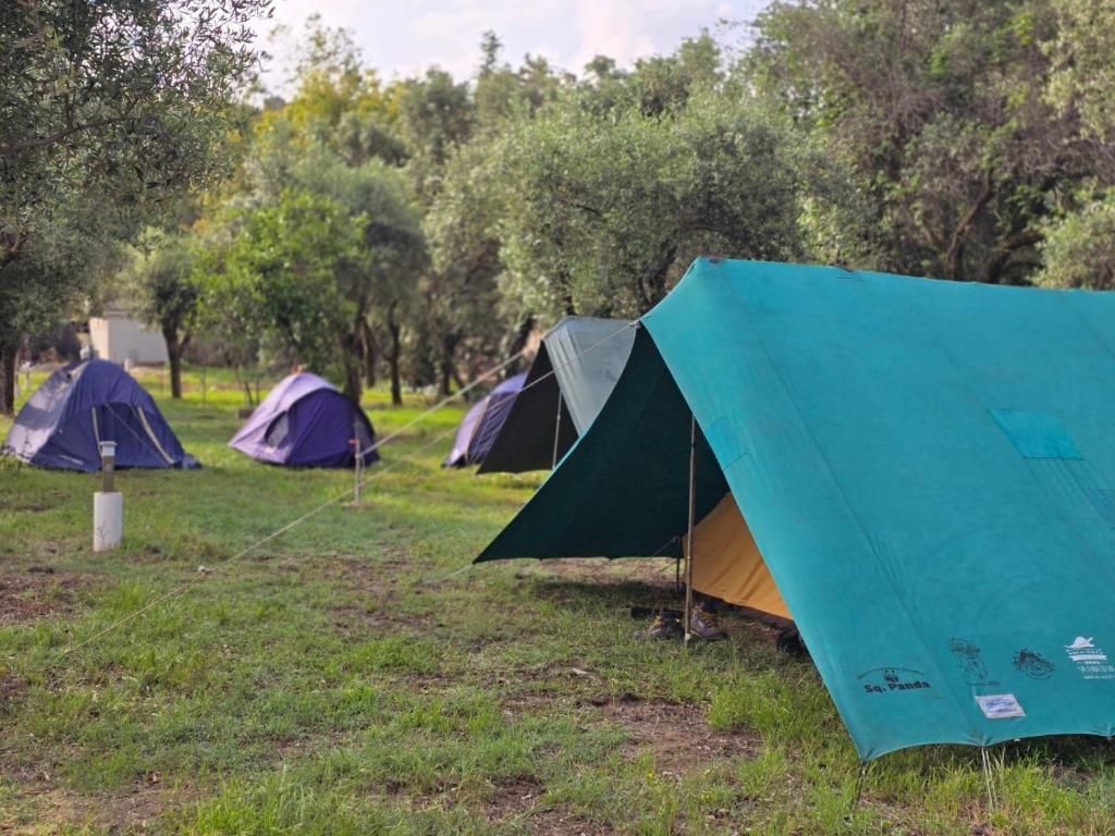 Fotografie z fotogalerie ubytování Residence Toscano v destinaci Palmi