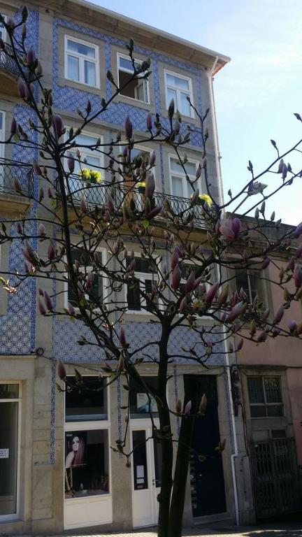 un árbol con flores rosas delante de una casa en ChillHouse_Porto, en Oporto