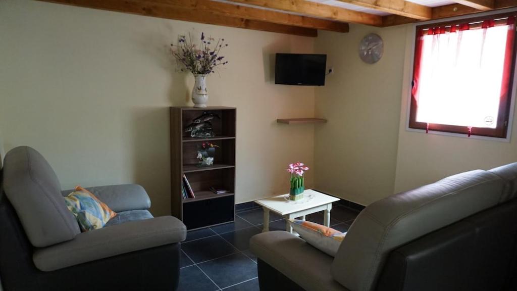 TV a/nebo společenská místnost v ubytování Gîte du Pont de Table Jacuzzi et Montagne