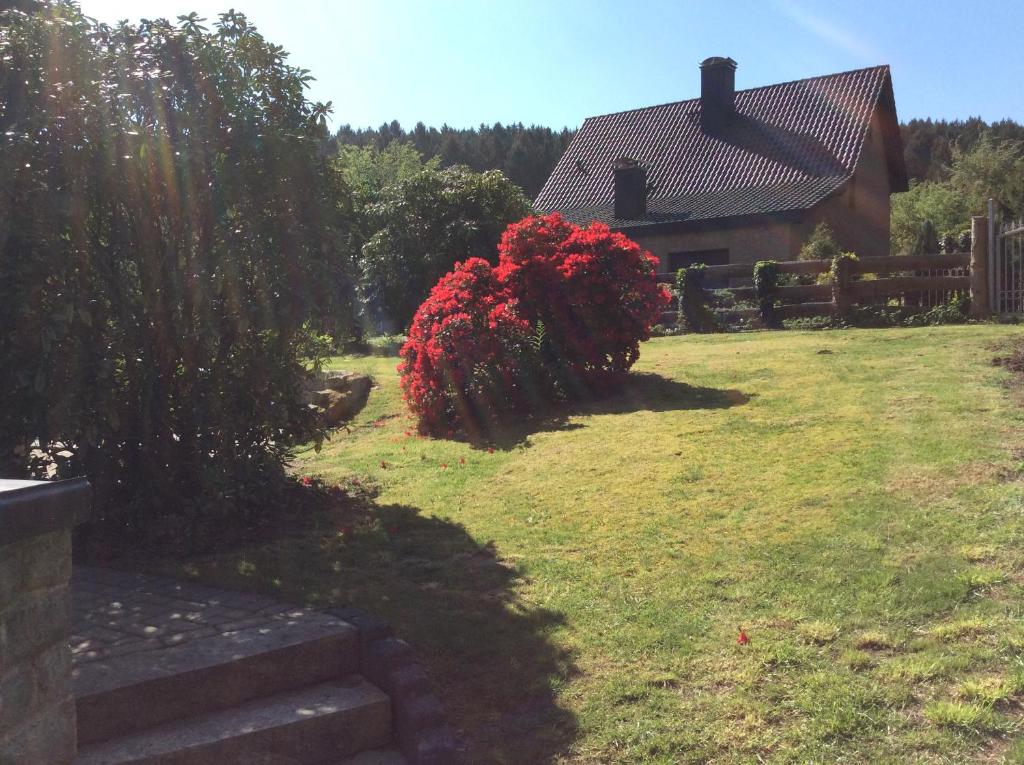 Zahrada ubytování Ferienhaus Dell