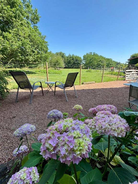 Domaine d'AROMM - Chambres d'hotes & gites - Piscine, Jacuzzi, Etangs & Animaux - Au calme - 花园景特大号床间
