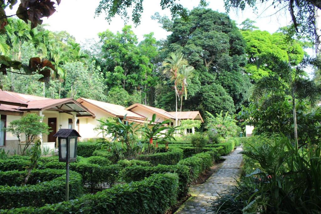 un jardin en face d'une maison dans l'établissement Ecolodge Bukit Lawang, à Bukit Lawang