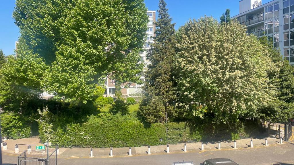 
Family Room with Private Bathroom
