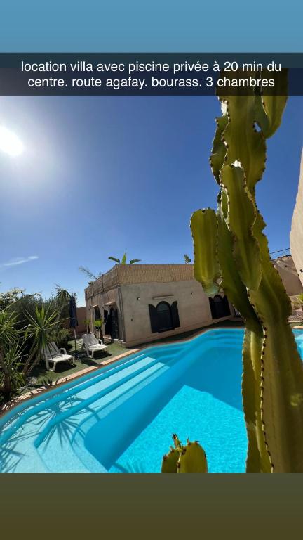 Agadir Bou Settaにあるvilla oasis bourassのサボテンはスイミングプールの隣に立っています