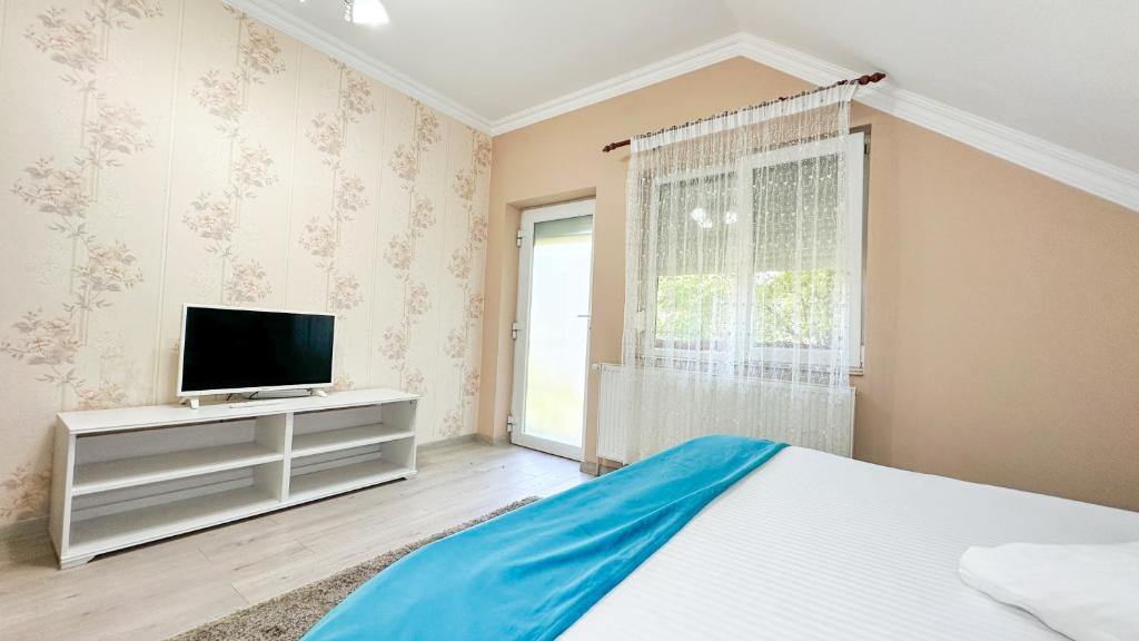 TV a/nebo společenská místnost v ubytování Hotel-Restaurant Milenium