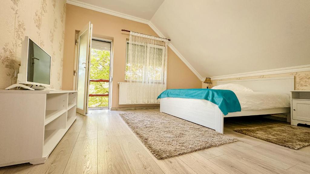 TV a/nebo společenská místnost v ubytování Hotel-Restaurant Milenium