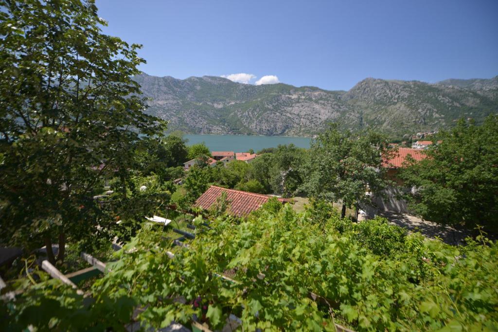 Příroda nedaleko apartmánu