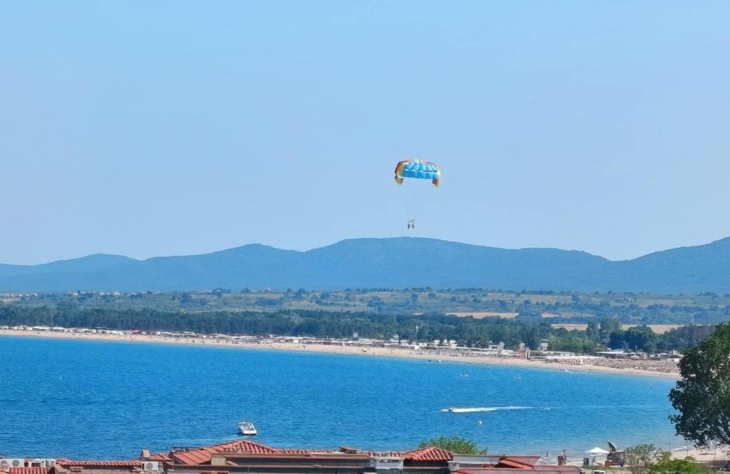Příroda nedaleko apartmánu