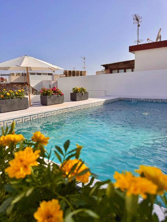 a swimming pool with flowers in front of a building at Apartamentos Ana Marbella centro in Marbella