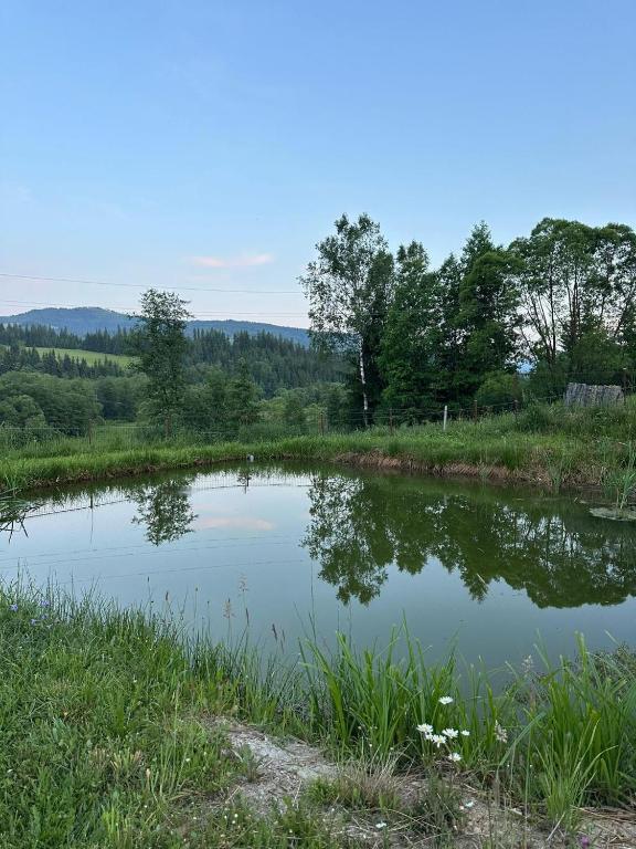 Paesaggio naturale nelle vicinanze della villa