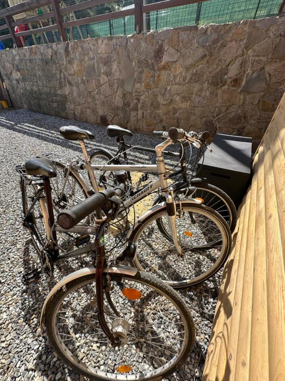 Attività di ciclismo presso la villa o nelle vicinanze