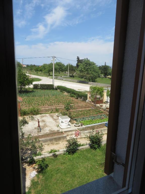 Vonkajšia záhrada v ubytovaní Filipovic Apartments with Pool