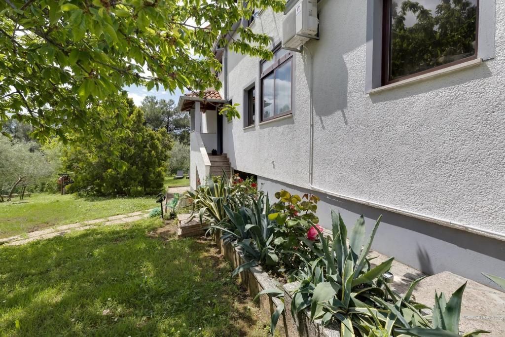 Zahrada ubytování Apartments Dado
