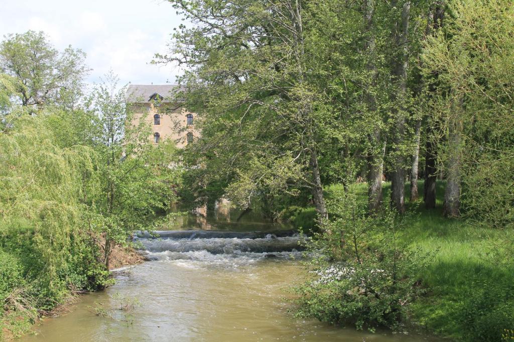 un fiume con alberi e un edificio sullo sfondo di Le Moulin Chevillon a Cercy-la-Tour
