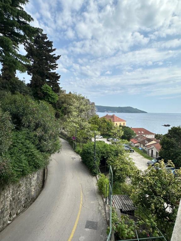 a winding road next to the ocean on a hill at Seas the Day Studio in Herceg-Novi
