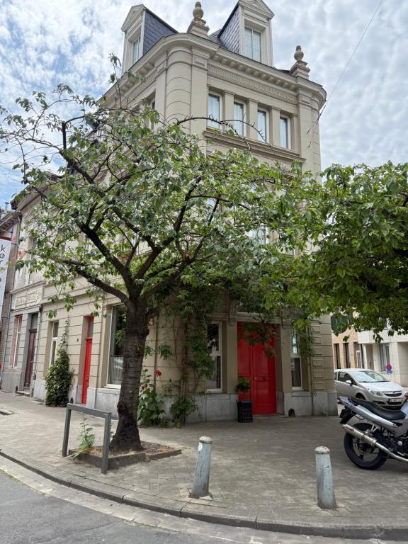 un edificio con un árbol delante en Auberge Walvis, en Amberes