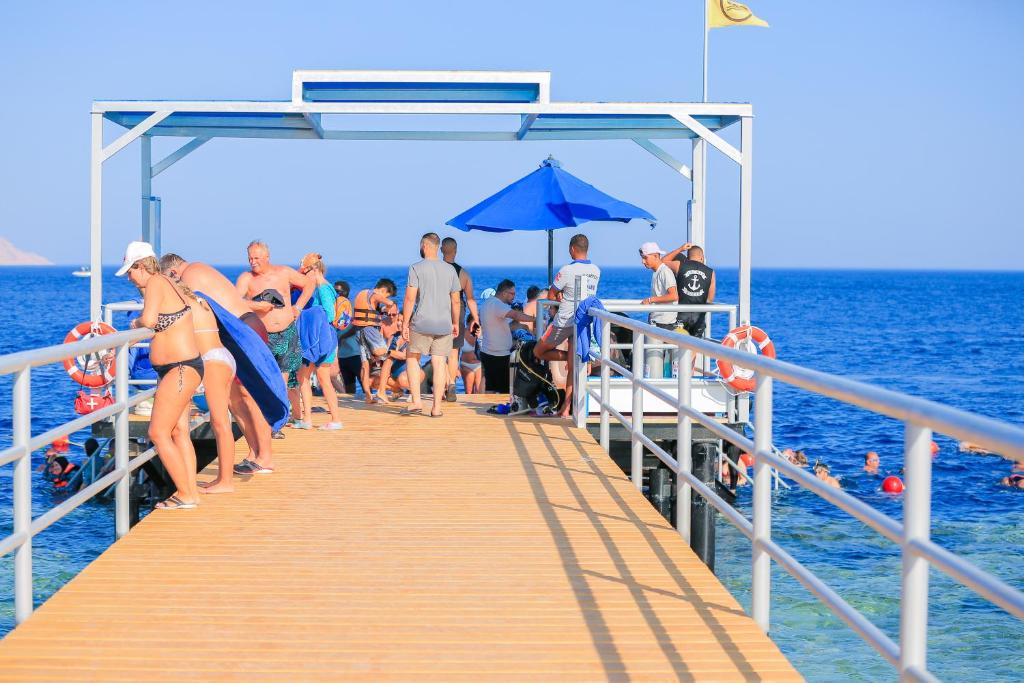 Pickalbatros Palace Sharm - "Aqua Park" vendégei