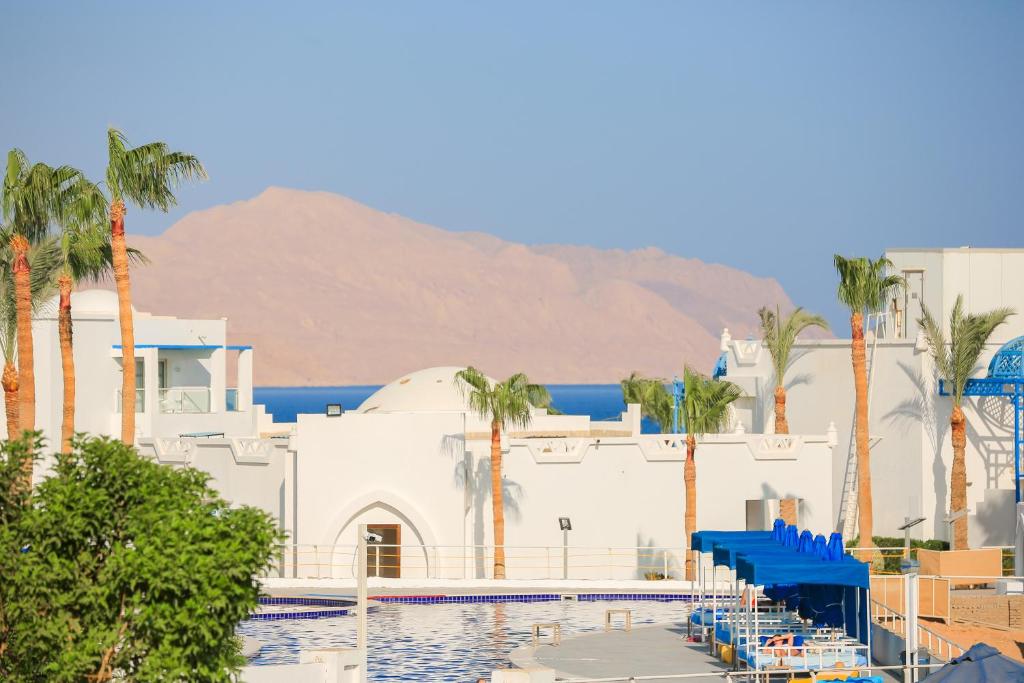 The swimming pool at or close to Pickalbatros Palace Sharm - "Aqua Park"