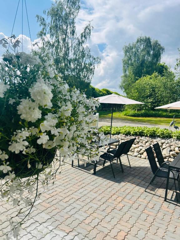 Mansikkaniemen Lomakeskus