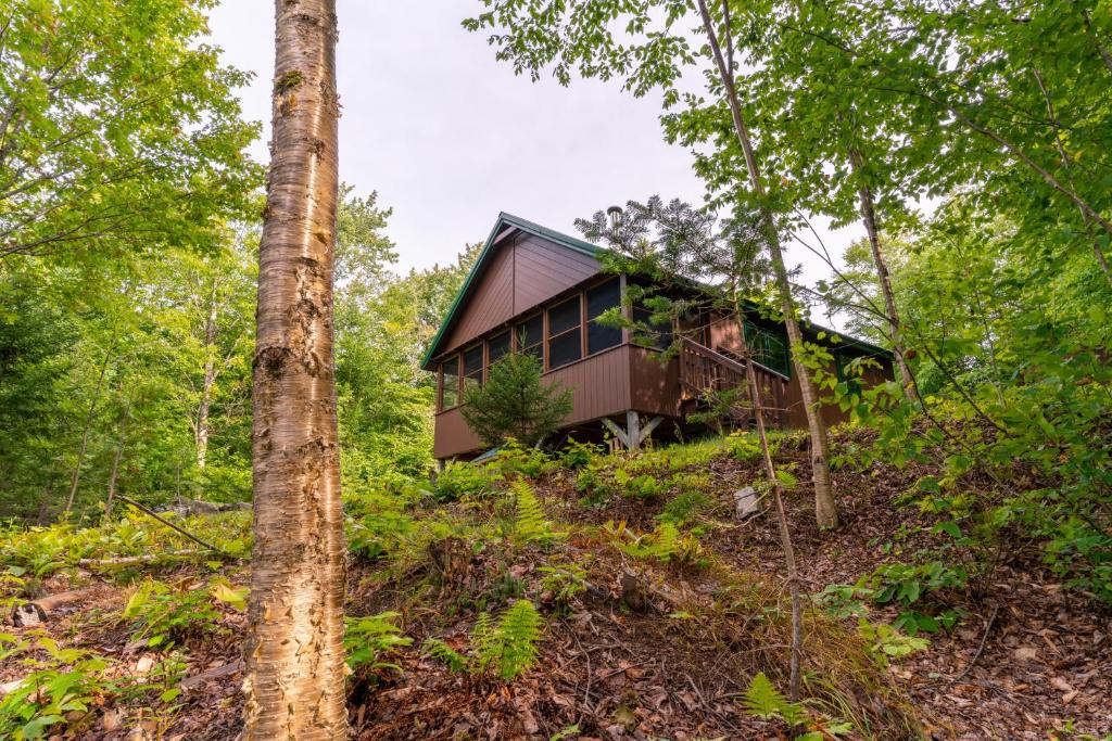 Naturlandskabet i nærheden af hotellet