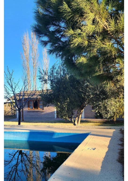 a reflection of a tree and a house in the water at Serena Cumbre Lodge in San Rafael