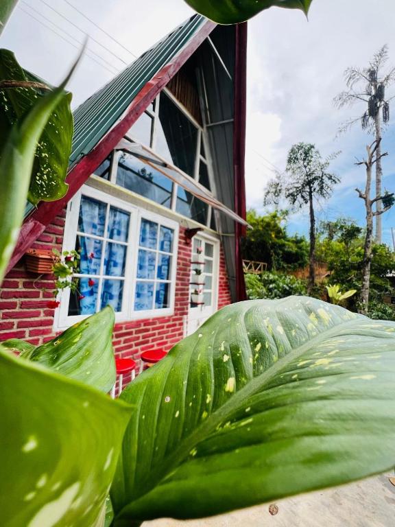 a red house with a window and a large green plant at Dehigasella Cabana in Bandarawela
