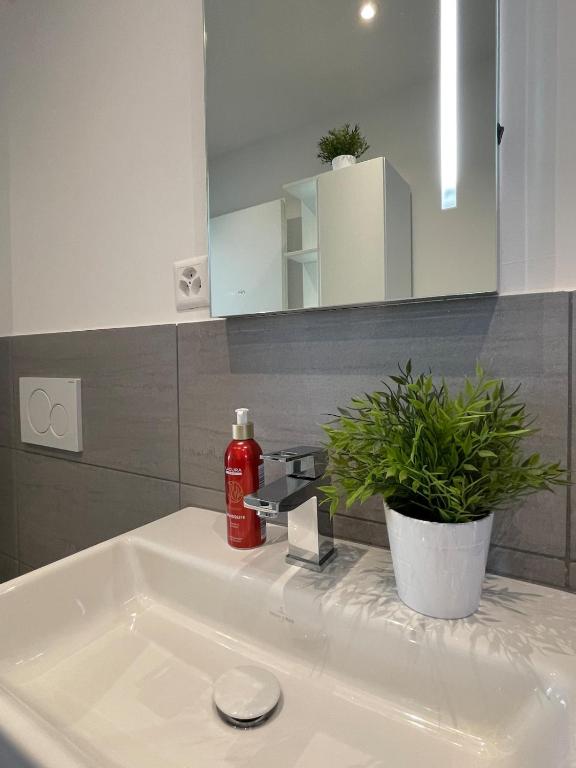 BASELiving Apartment 5 - 2 grosse Balkone - Bahnhof SBB - Resim 14