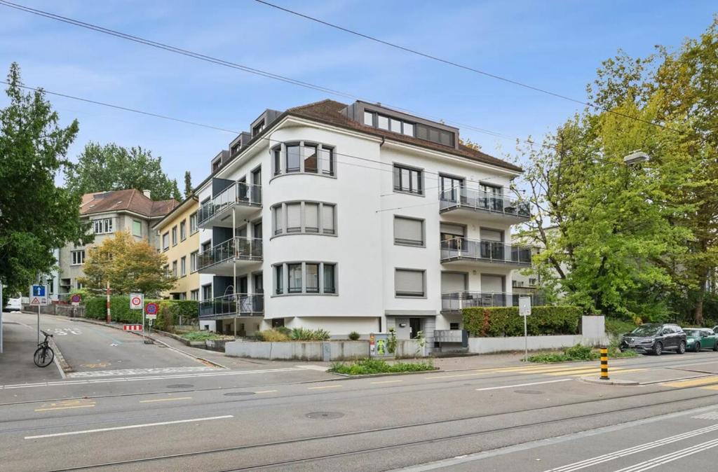 BASELiving Apartment 5 - 2 grosse Balkone - Bahnhof SBB - Resim 6