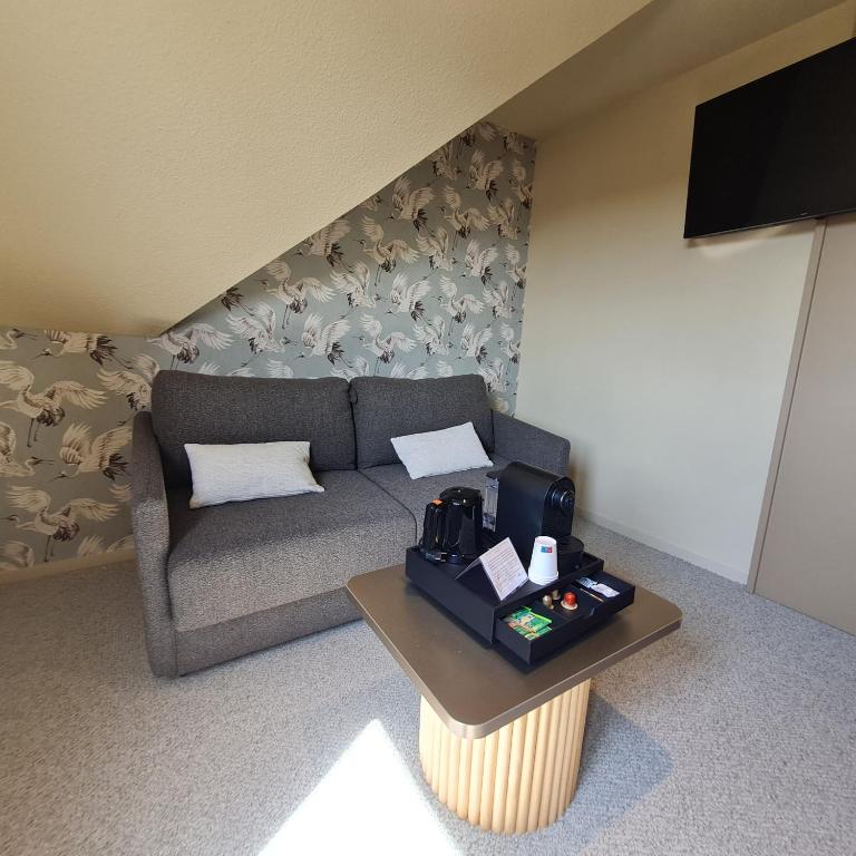 Brit Hotel Confort Alençon - Habitación Doble Grande O Twin