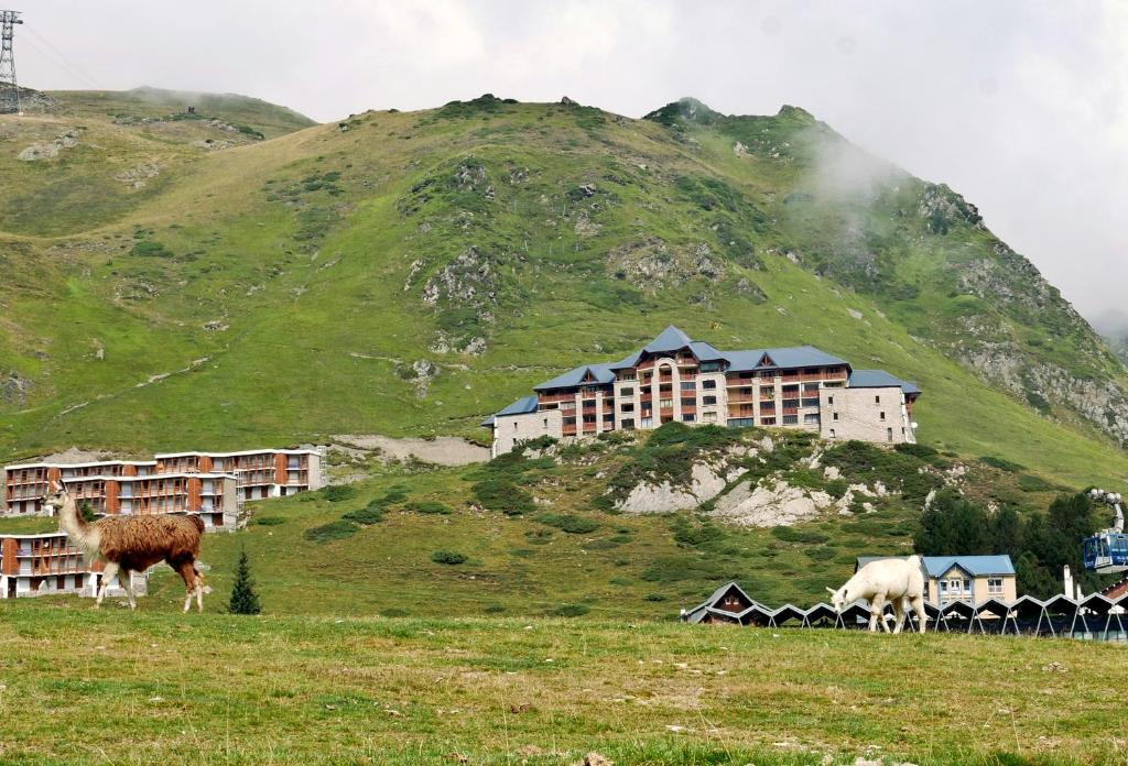 deux animaux pacant dans un champ devant une montagne dans l'établissement Résidence Azureva La Mongie, à La Mongie