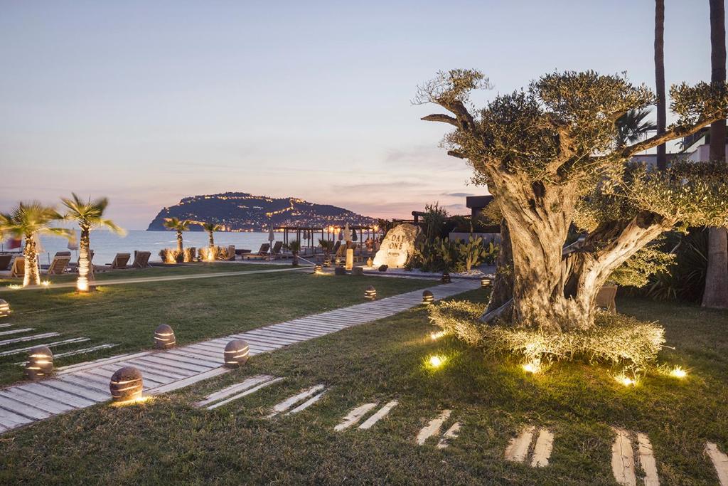 Day One Beach Resort & SPA - Adult Only - 10