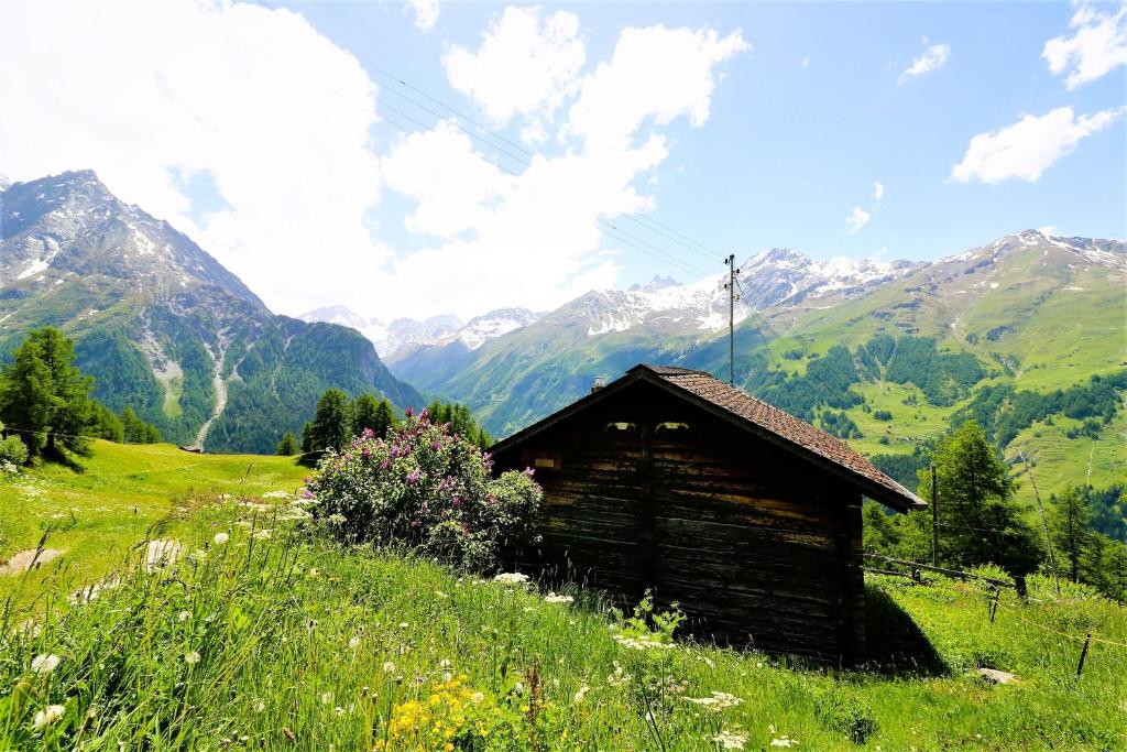 a wooden cabin on a hill with mountains in the background at Mayen Motau - Retour a l essentiel La Forclaz in La Forclaz