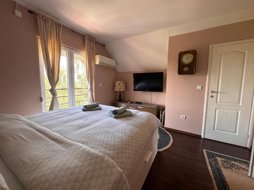 TV a/nebo společenská místnost v ubytování Villa Popovic - apartments Fruska gora