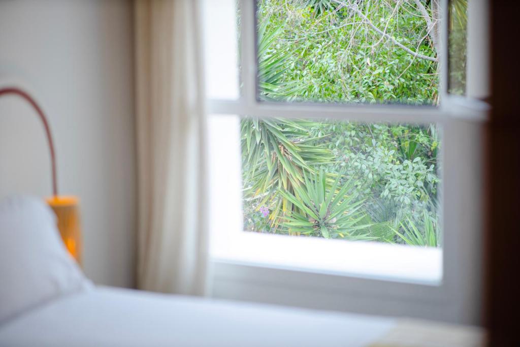 a window in a room with a view of a plant at Hôtel Le Sud in Juan-les-Pins