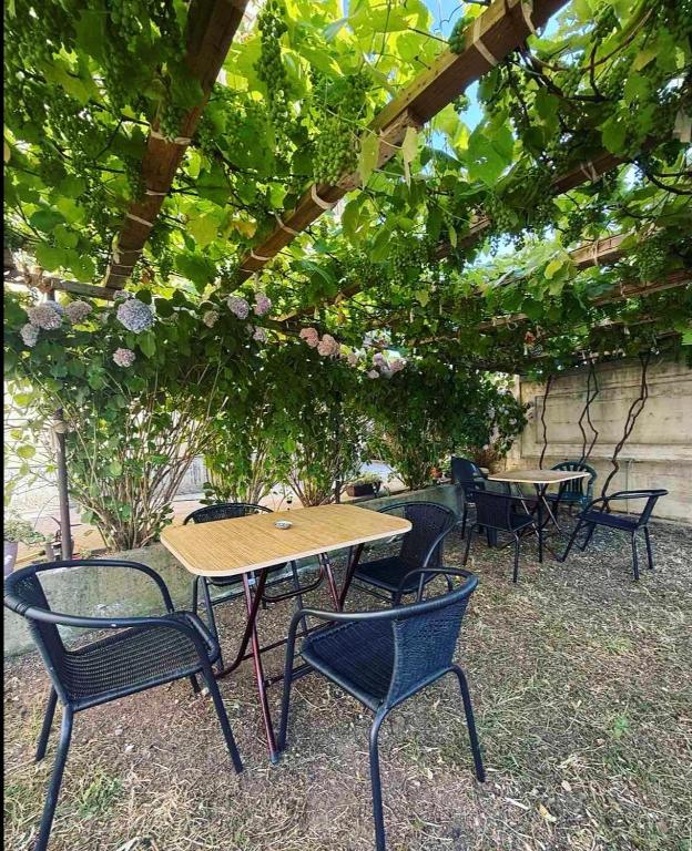 Aed väljaspool majutusasutust Apartmani590