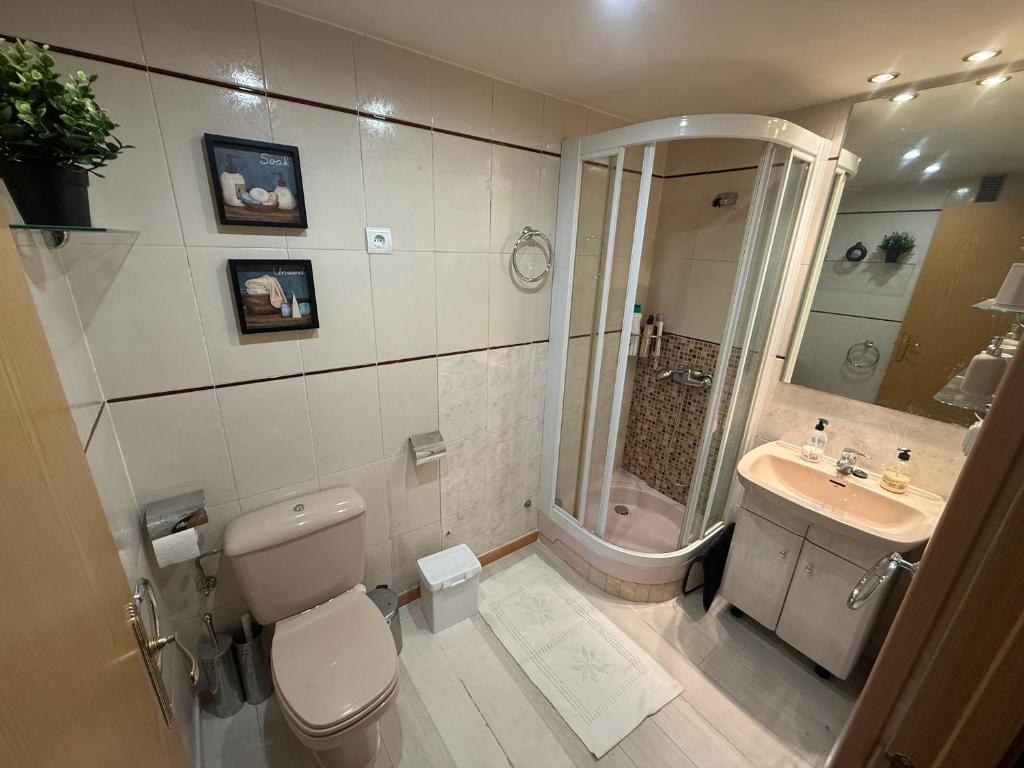 フォルミガルにあるIbón de Bucuesaのトイレ、シャワー、洗面台を備えたバスルーム