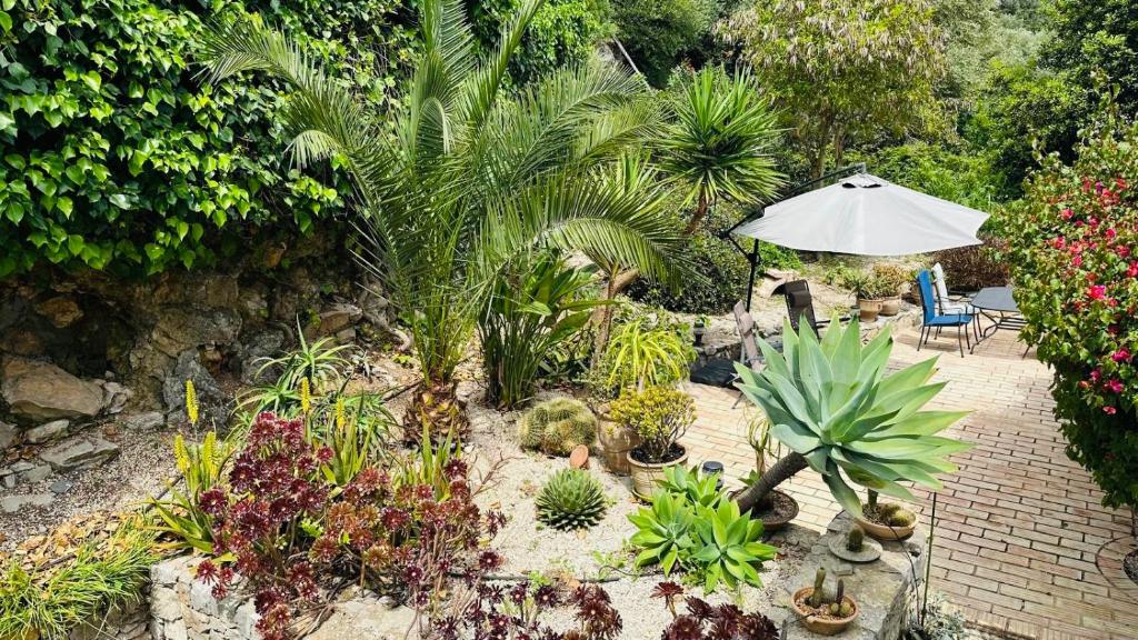 Casa das Flores Tavira - Townhouse with garden