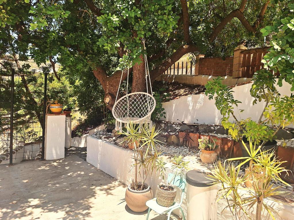 Zahrada ubytování Finca Los Burros