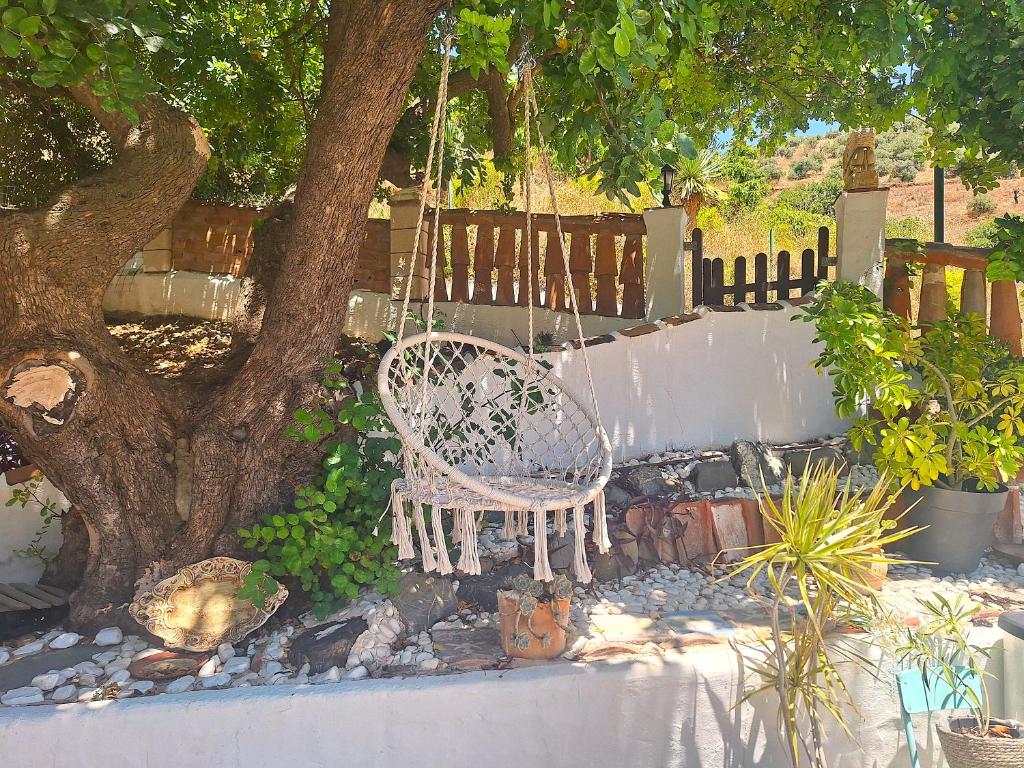 Zahrada ubytování Finca Los Burros