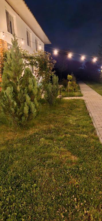 Zahrada ubytování Garden Pypa