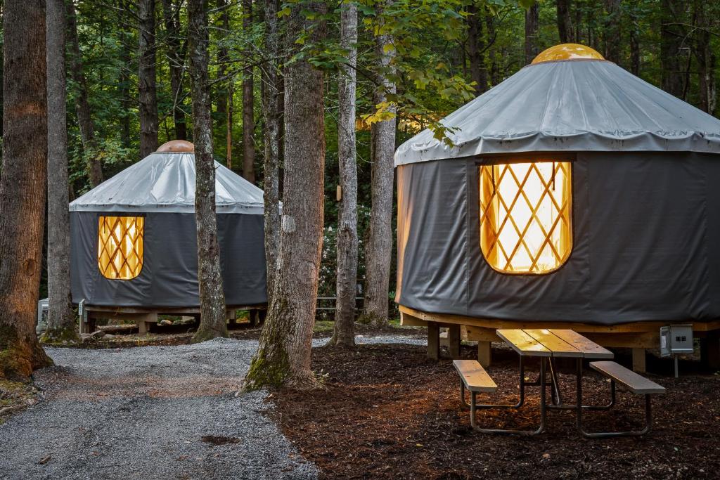 Roamstead Smoky Mountains - Carpa