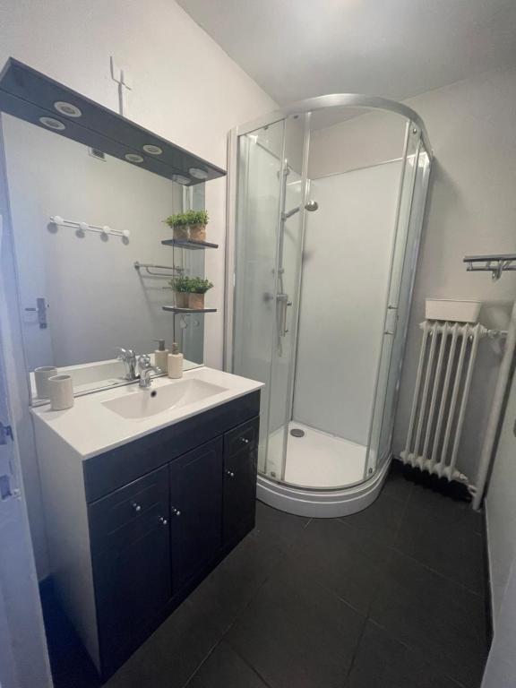 a bathroom with a sink and a shower at Appartement à 2 pas du centre, 2 chambres, parking in Aurillac
