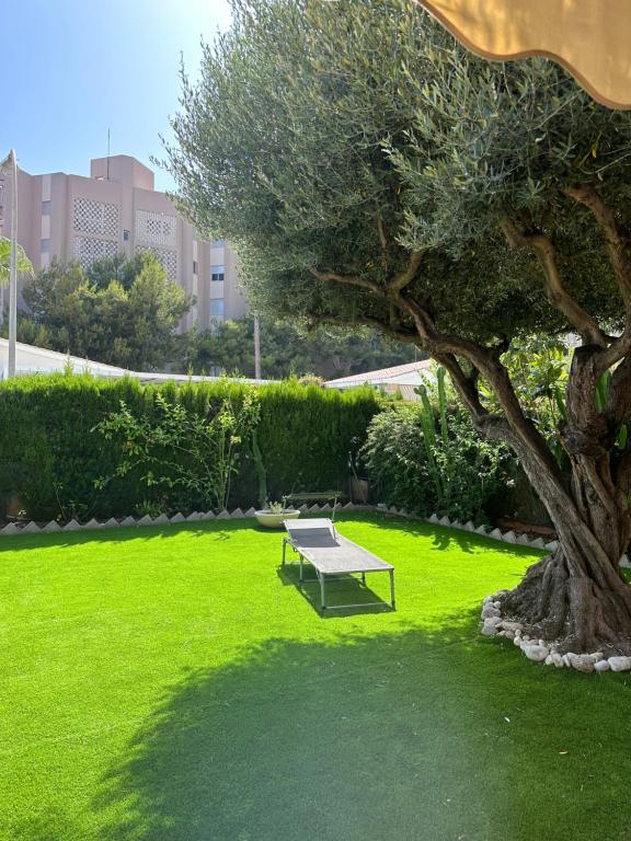 a park with a bench and a tree at Casa Ángeles in Benicàssim