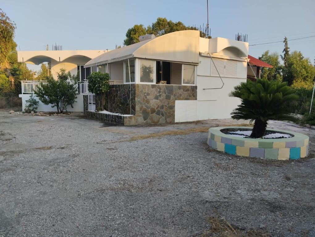 a house with a palm tree in front of it at Flora Beach House in Kremasti