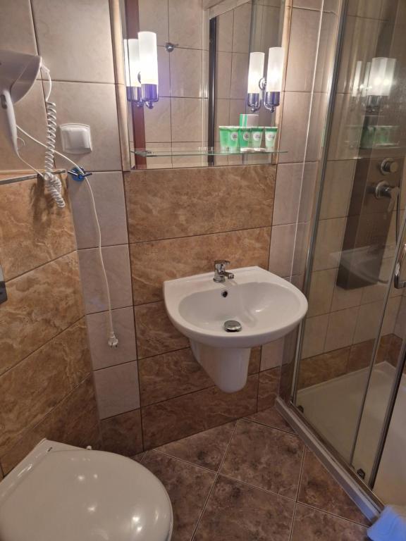 Koupelna v ubytování Willa Sternik