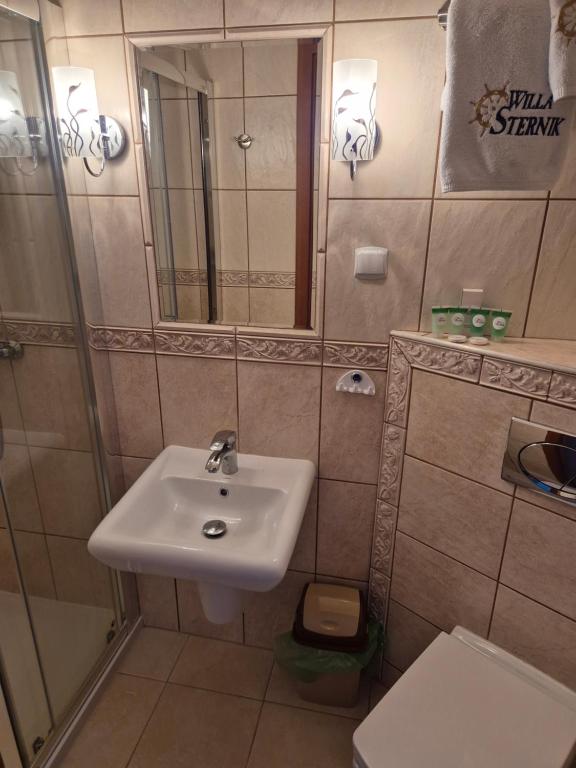 Koupelna v ubytování Willa Sternik