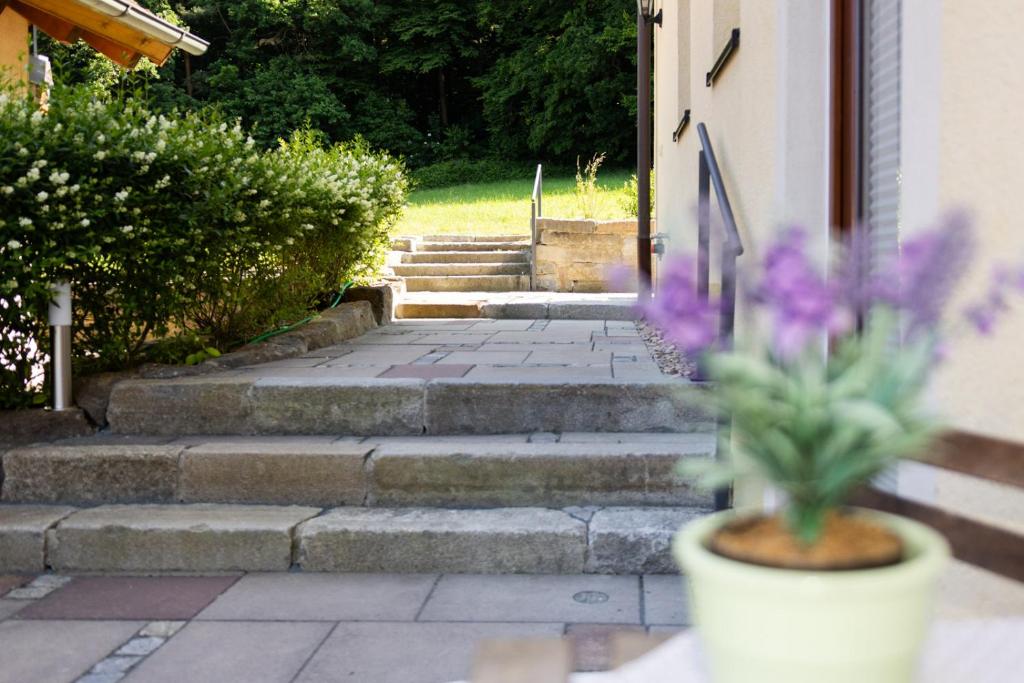 a plant in a pot on the steps of a house at Landgut Seebühne Steigerwald - Guesthouse in Vestenbergsgreuth
